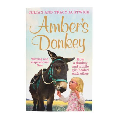 784 Amber's donkey book