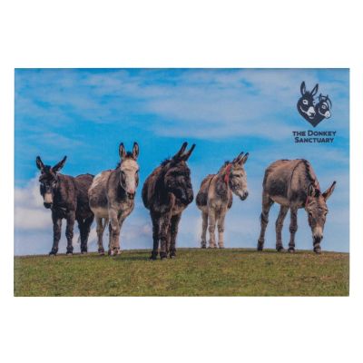 D19181 Five donkeys magnet