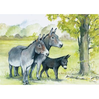 D19185 Three donkeys under a tree greeting card