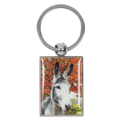 D22029 JP the donkey photo keyring