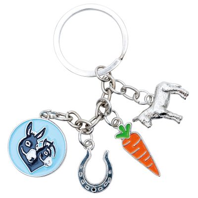 D22031 Donkey sanctuary charm keyring