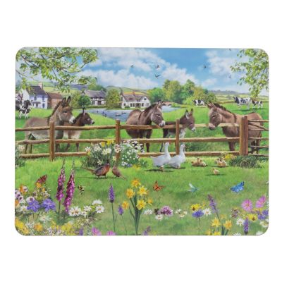 D23014 Meadow Placemats - Set of 4