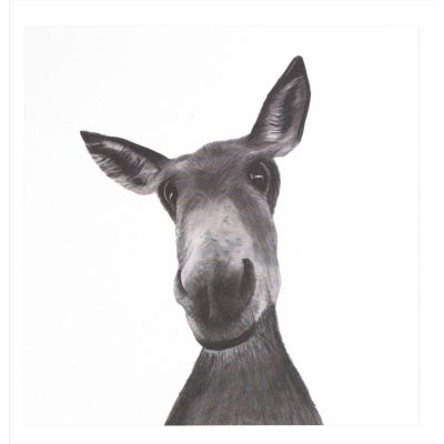 Sirus The Donkey - Greeting Card