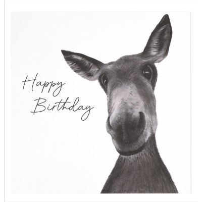 Sirus The Donkey - Birthday Card