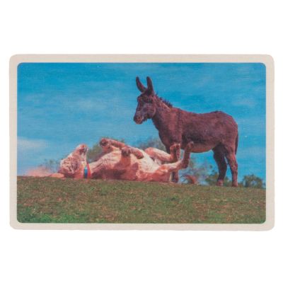 Rolling Around  Wooden Postcard