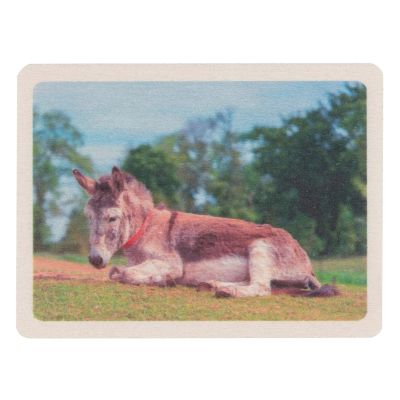 Ross the Donkey Wooden Magnet