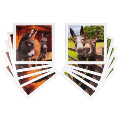 Twin Pack - Greeting Cards Pack of 10