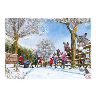 Sanctuary Stroll - Christmas Cards, Pack of 10