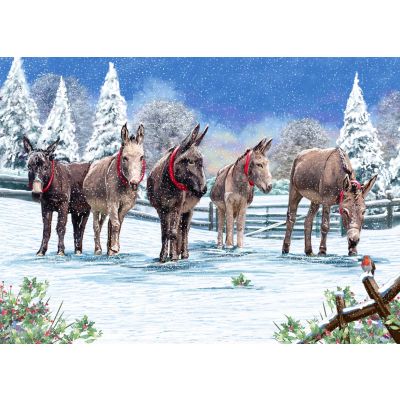 Donkeys in the Snow - Christmas Cards, Pack of 10