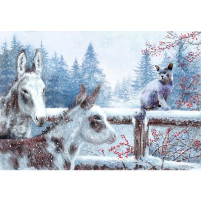 Talking to Beau - Christmas Cards, Pack of 10