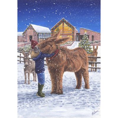 Poitou and the Groom - Christmas Cards, Pack of 10