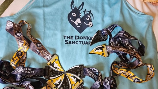 Clive Poole's The Donkey Sanctuary running vest and medals.