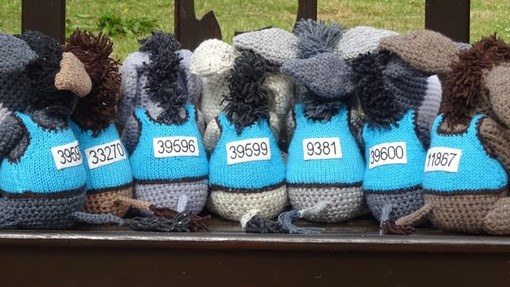 2019 Marathon knitted neddies