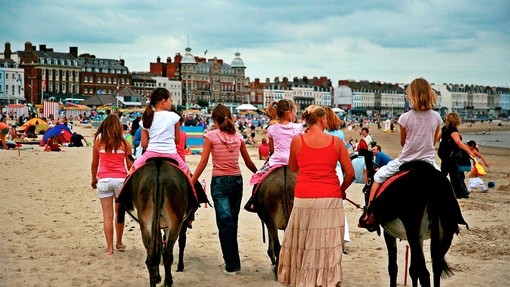 Donkeys with children riding them on beach.