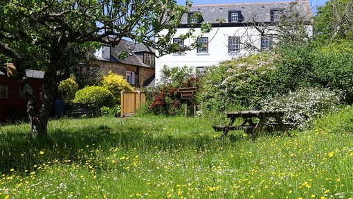 Butterfly garden at our Sidmouth sanctuary.