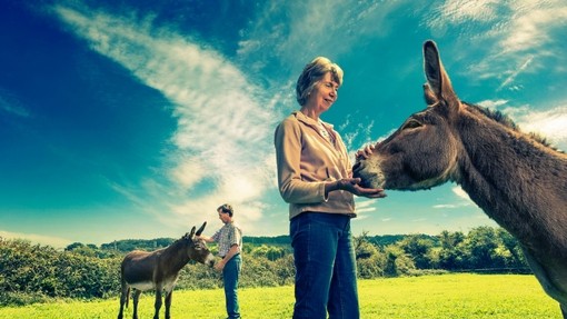 Donkey guardians the Wearne family