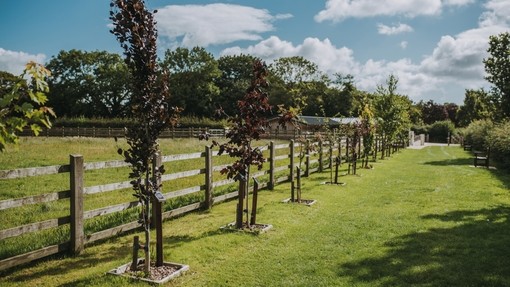 Sidmouth sanctuary walkway with in memory plaques