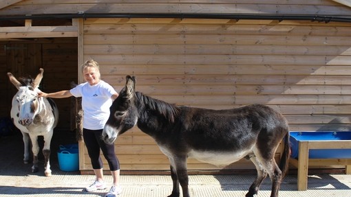 A donkey guardian stood with her two donkeys in a stable