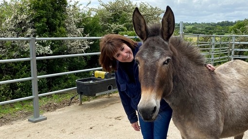 An equine behaviourist stood next to a brown mule