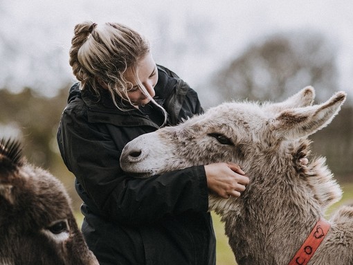 Hannah with Nico the donkey