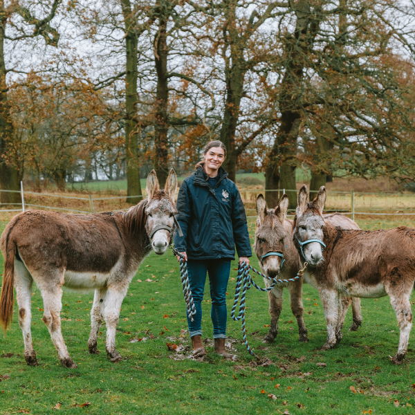 Three rescue donkeys stood in field with Donkey Welfare Adviser Hannie