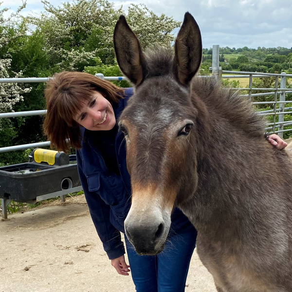 A brown mule with an equine behaviourist in a yard