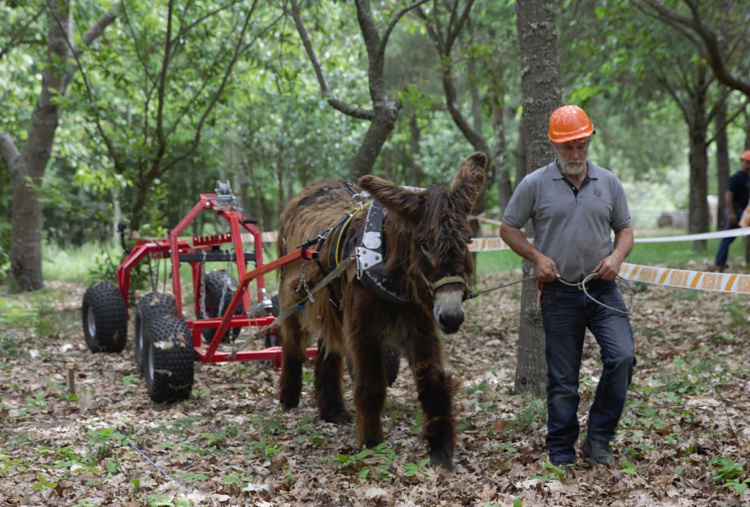 Safer harness project, logging test