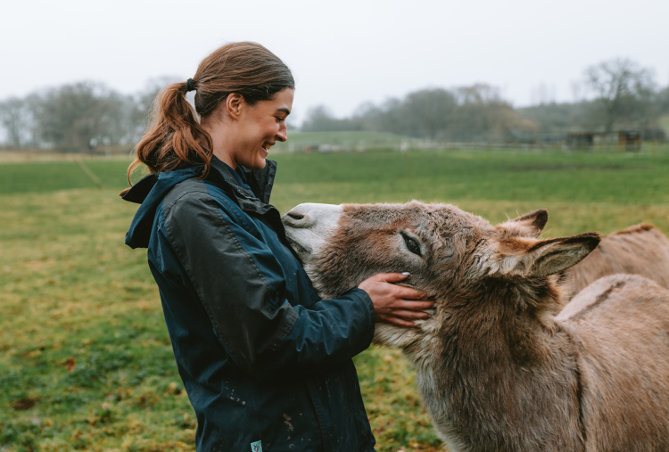 Rescue donkey with donkey welfare advisor Hannie