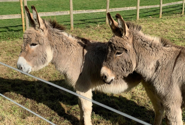 Teddy and Charles stood together at their new home