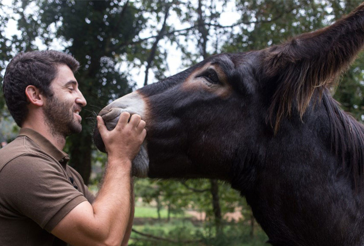 Joao Rodrigues holding a donkey's face