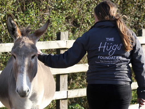 Donkey assisted activities session with the hugs foundation charity at Sidmouth.