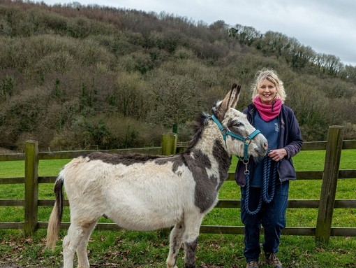 Rescue donkey Oliver with groom Lisa Coles.