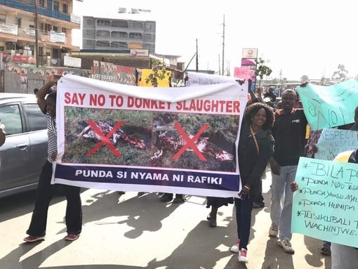 Say no to donkey slaughter, Kenya.