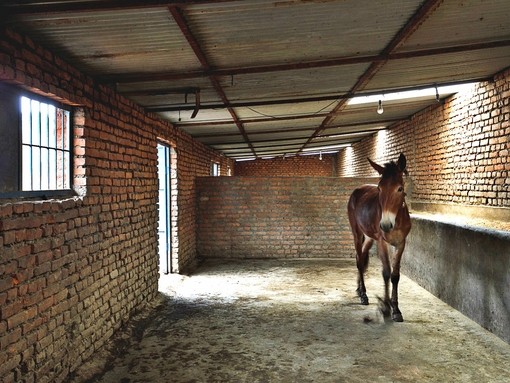 Shelter at a brick kiln in Nepal.