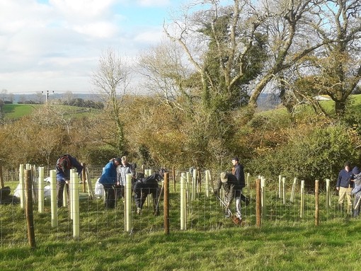 Ecology and Conservation planting trees at Woods Farm.