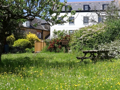 Butterfly garden at our Sidmouth sanctuary.