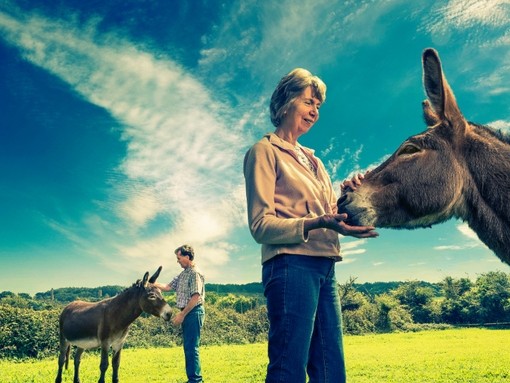 Donkey guardians the Wearne family