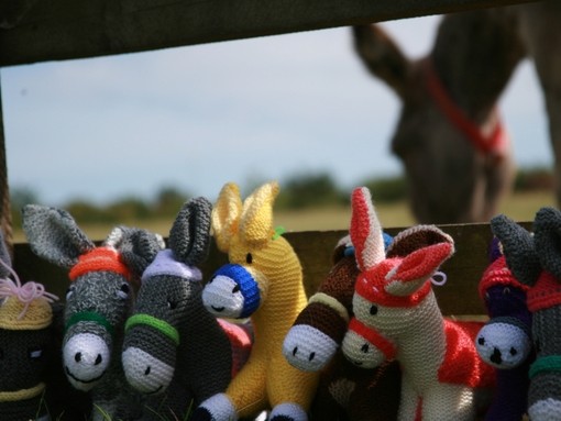 Knitted donkeys in front of donkey