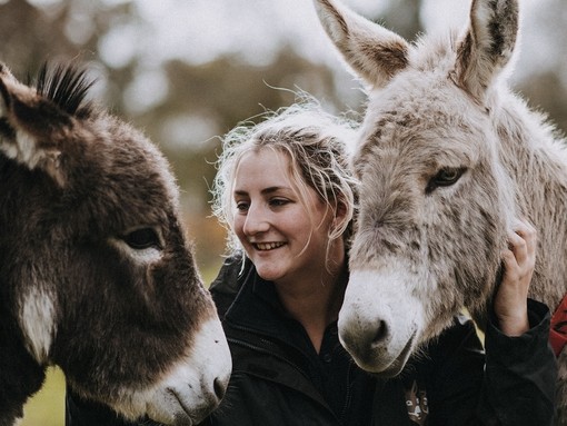 Hannah with Nico the donkey and friend