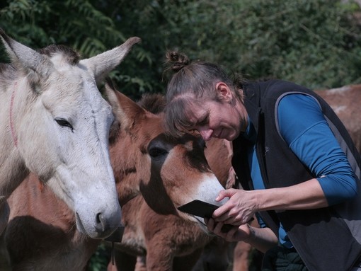 Research team in Nepal, India