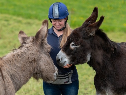 Two brown donkeys with donkey behaviourist Kerry.