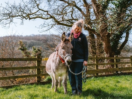 A women stood with a donkey in an outside paddock