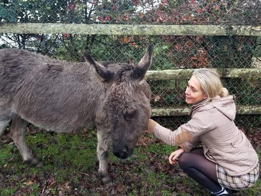 A women crouched down, stroking the head of a small grey donkey.