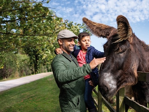 A father holding his son as they stroke a dark brown donkey