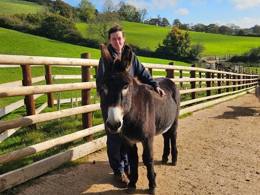 A brown donkey with a white nose stood on a concrete track with his groom.