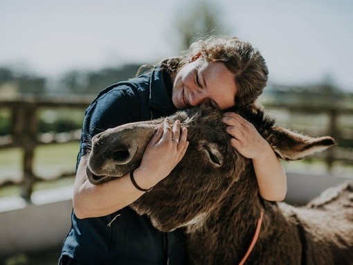 A women holding a donkeys face and hugging a donkey