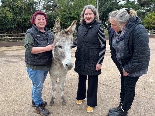 Three women stood with a grey and white donkey in a concrete yard