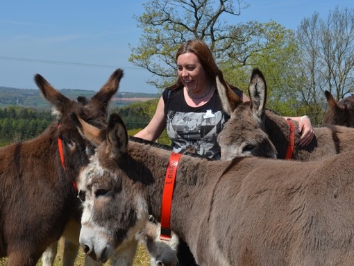 A women stood with three donkeys in a field