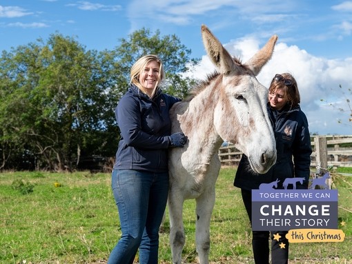 A large white and beige donkey stood between two women in a field