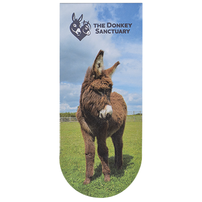 D24082 Sooty magnetic bookmark